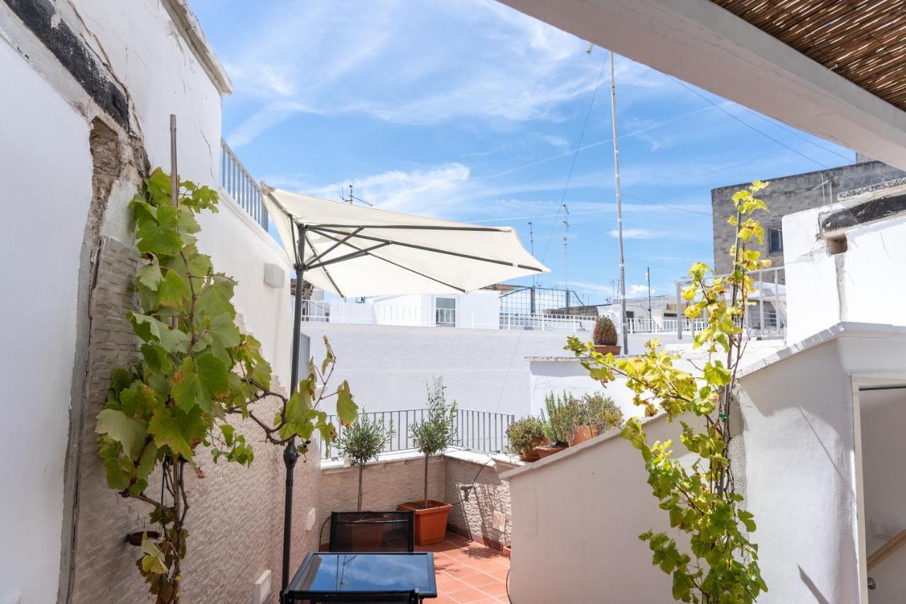 Wineart House, Terracielo Indipendente Nel Centro Di Monopoli Leilighet Eksteriør bilde